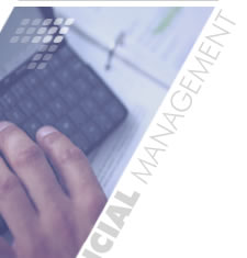 Information Technology Specialists
