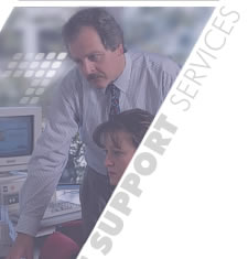 Information Technology Specialists