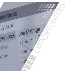Information Technology Specialists